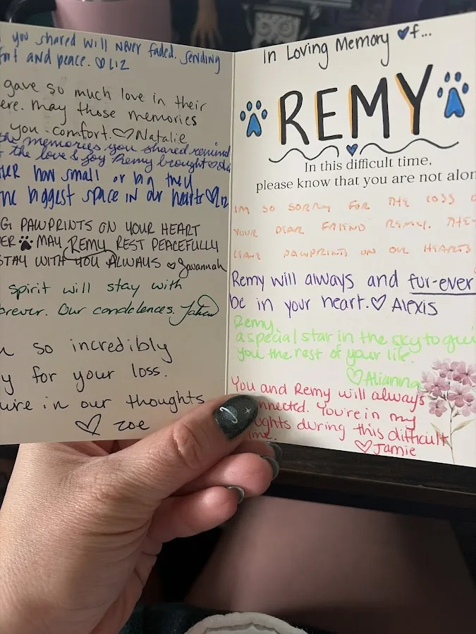 Roadrunner Veterinary Emergency & Specialty Hospital