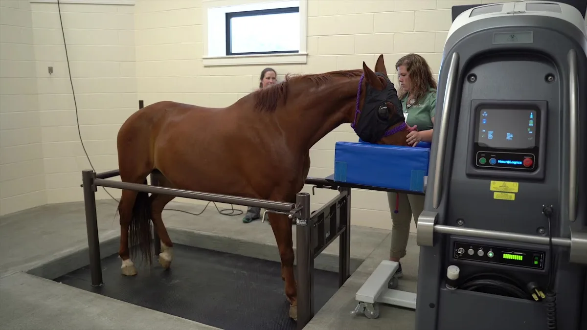 Rood & Riddle Equine Hospital