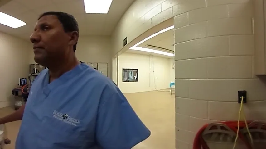 Rood & Riddle Equine Hospital