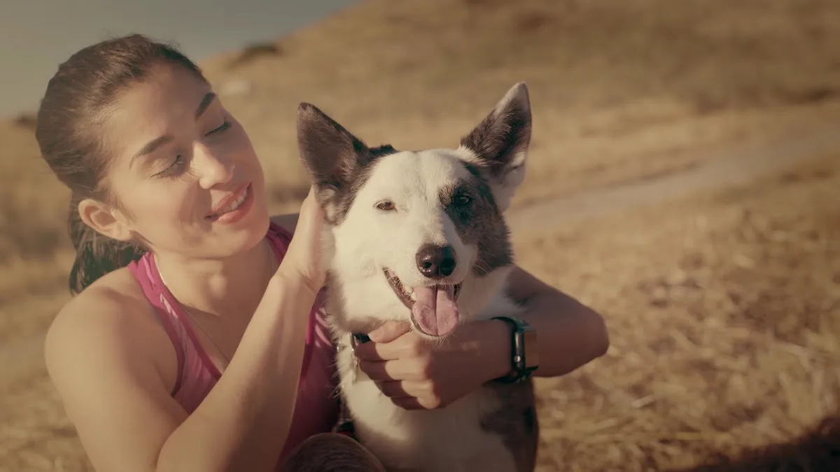 SAGE Veterinary Centers - Campbell