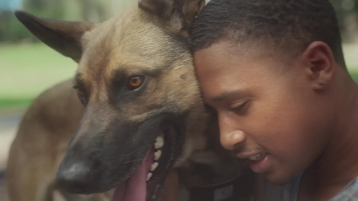 SAGE Veterinary Centers - Dublin