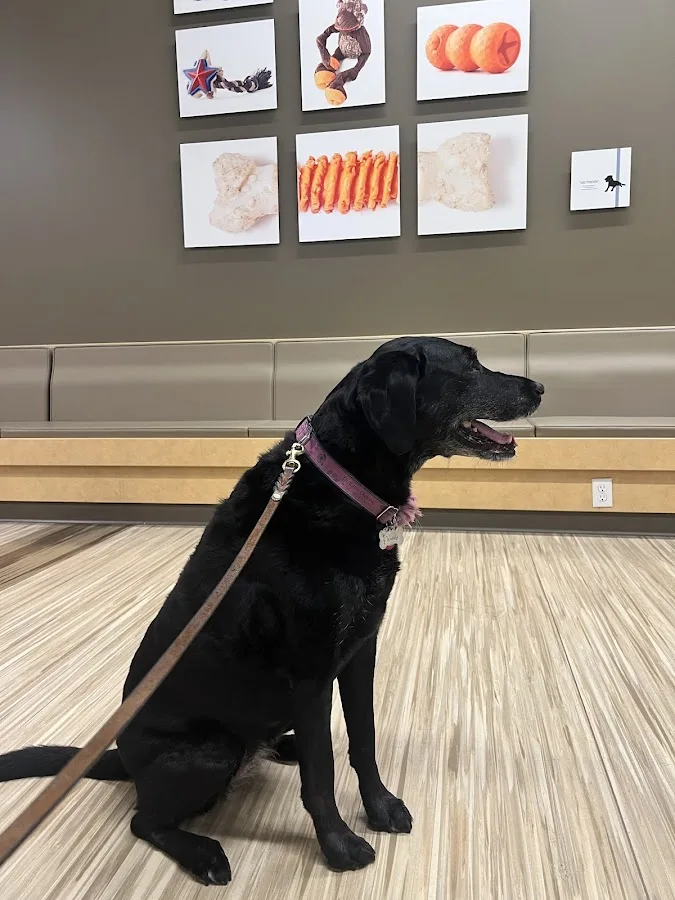 SAGE Veterinary Centers - Redwood City