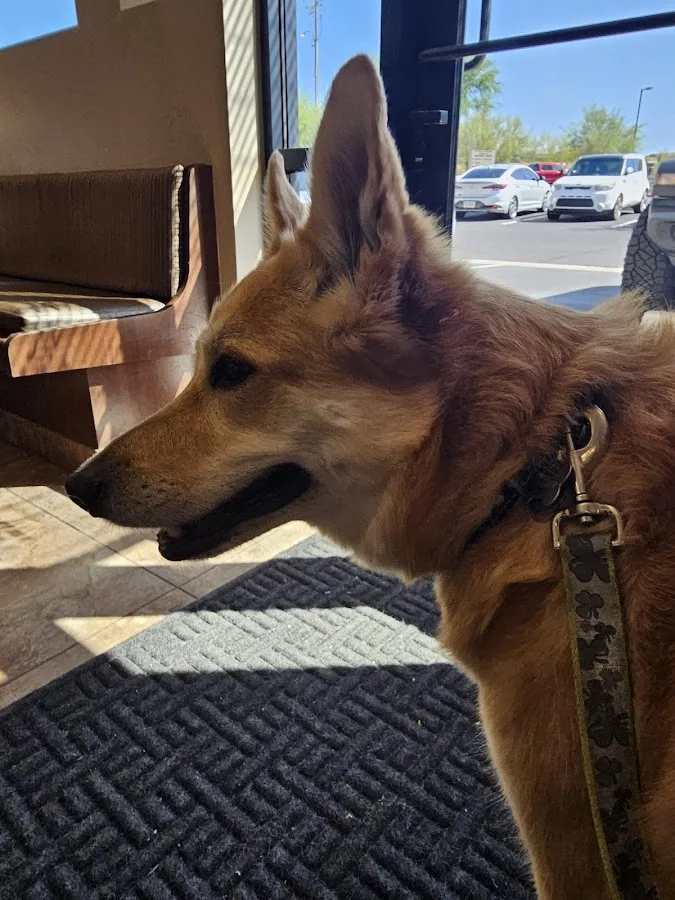 Scottsdale Veterinary Specialty and Emergency Center