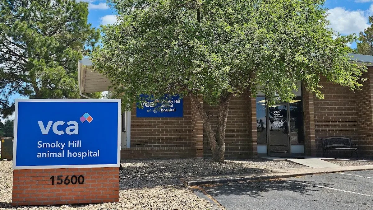 Seven Hills Veterinary Center: Mullen Jeffrey L DVM