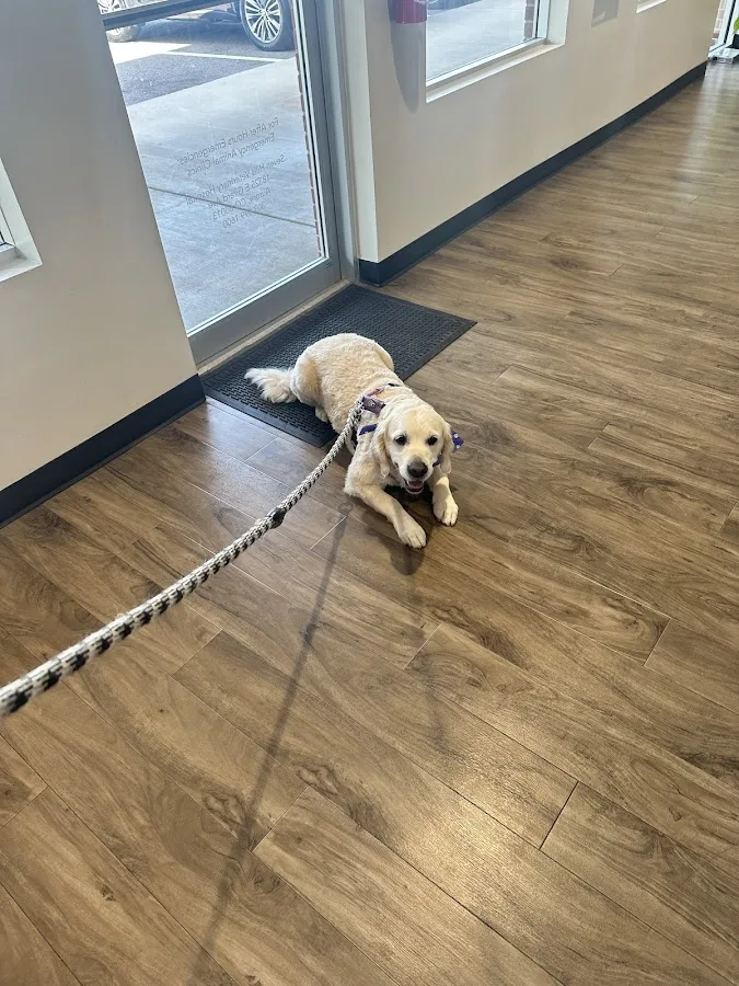 Seven Hills Veterinary Center: Mullen Jeffrey L DVM