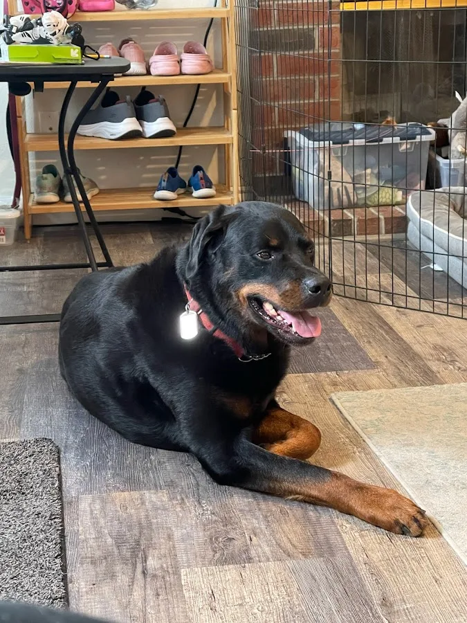 Seven Hills Veterinary Hospital