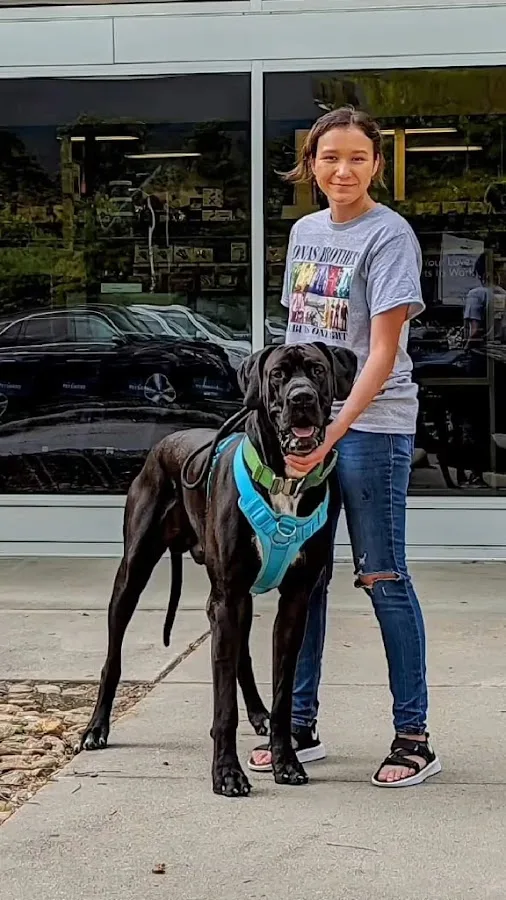 South Asheville Veterinary Emergency & Specialty