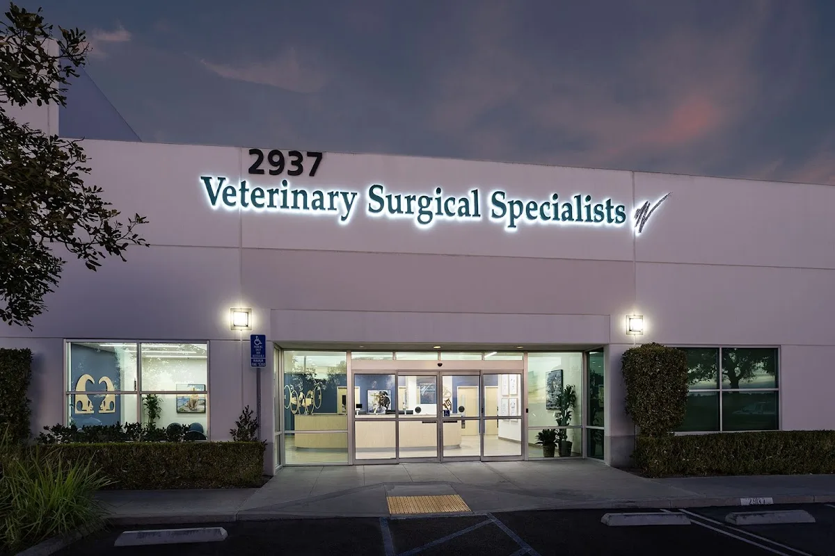Southern Ca Vet Specialty Hospital: Eich Christopher DVM