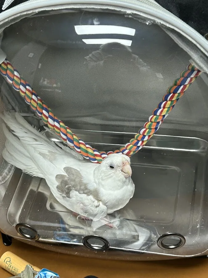 Southpaw Veterinary Clinic and Emergency Care