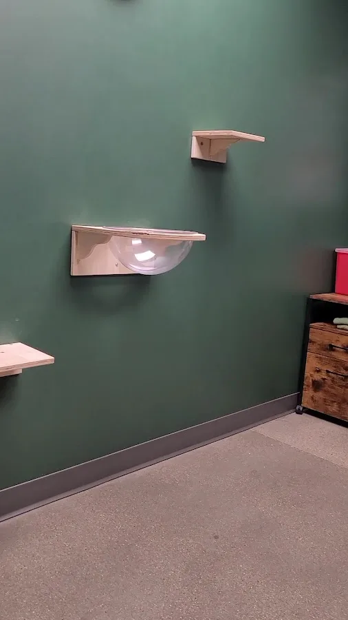 Southpaw Veterinary Clinic and Emergency Care