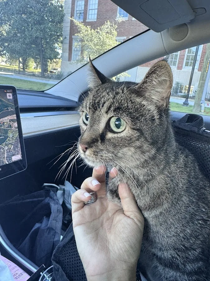 ST. John Veterinarian