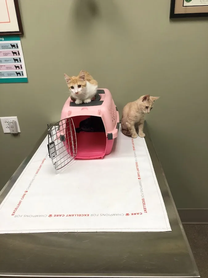 Stack Michael DVM primary photo