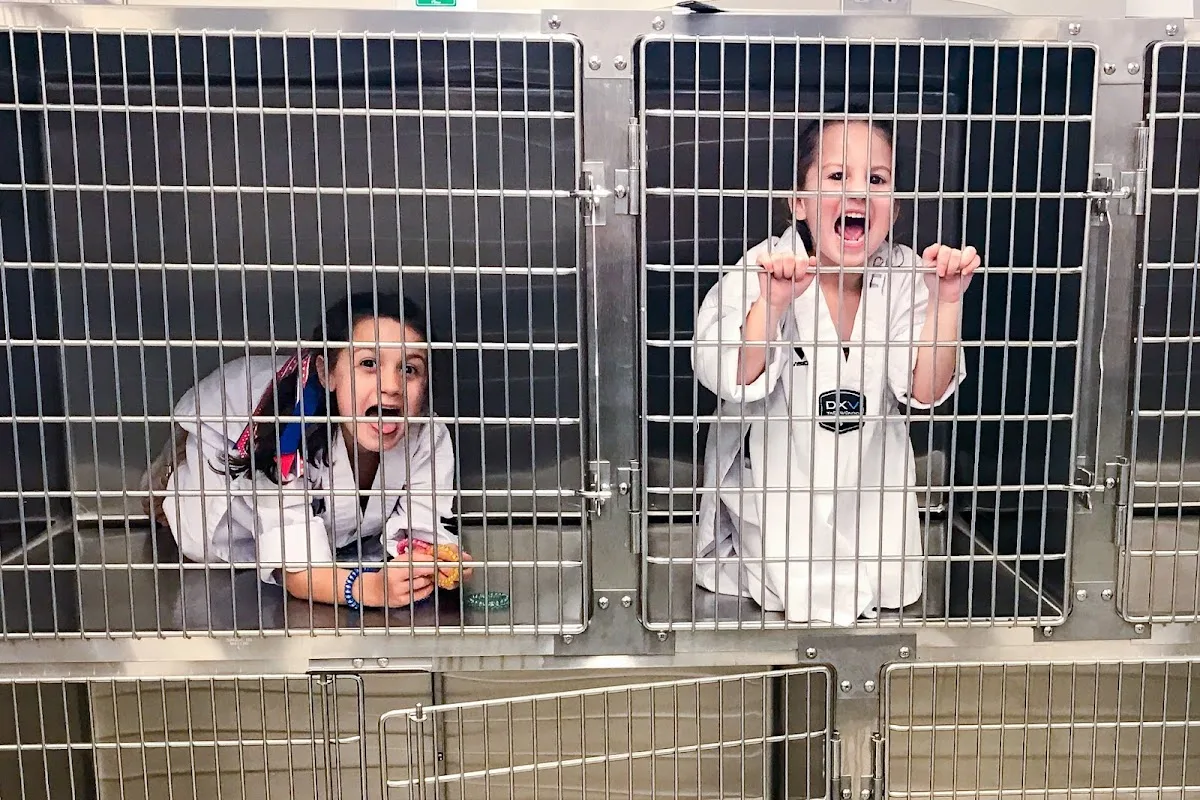 Steel City Emergency Vets