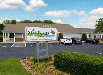 Steele Creek Animal Hospital: Mc Namee Virginia DVM