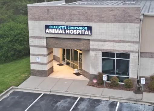 Steele Creek Animal Hospital: Mc Namee Virginia DVM