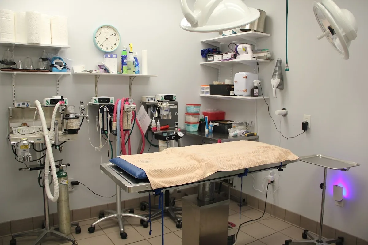 Stoller Jennifer DVM