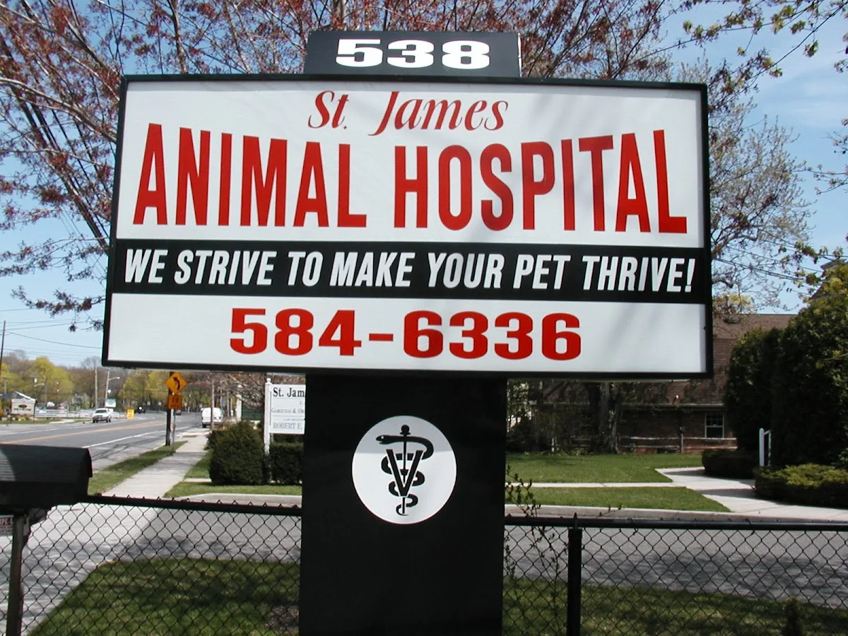Stone Brook Area Veterinary Service