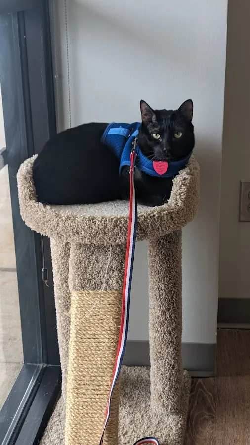 Sugar Creek Animal Hospital