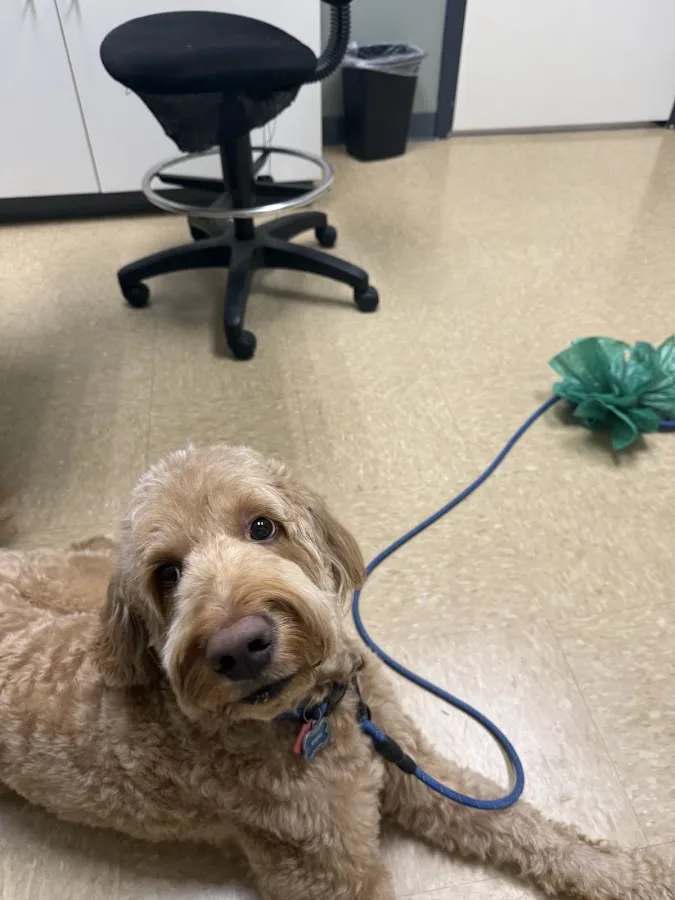 Sugar Land Veterinary Specialists & Emergency Care