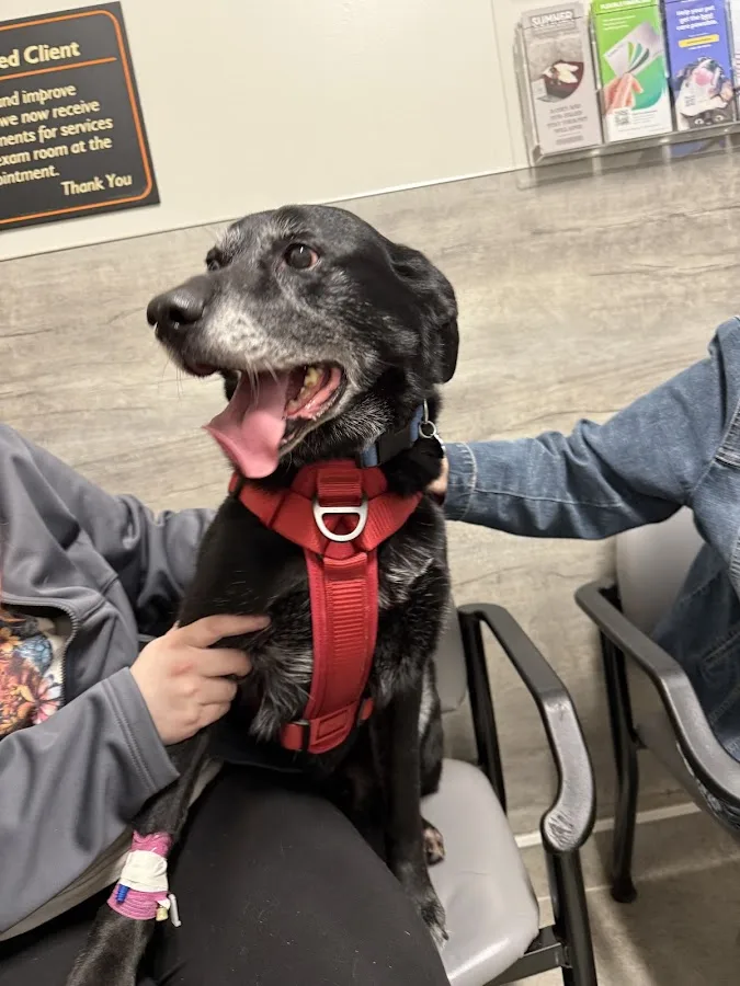 Sumner Veterinary Hospital