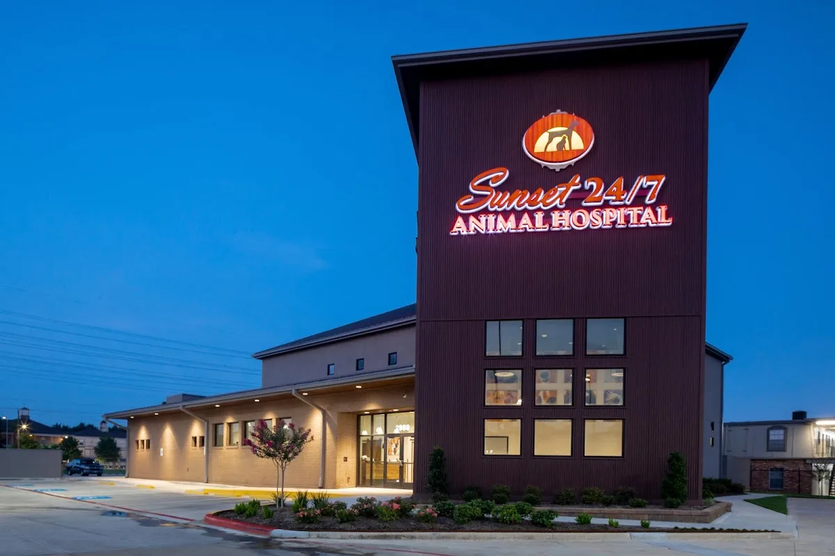 Sunset Animal Hospital