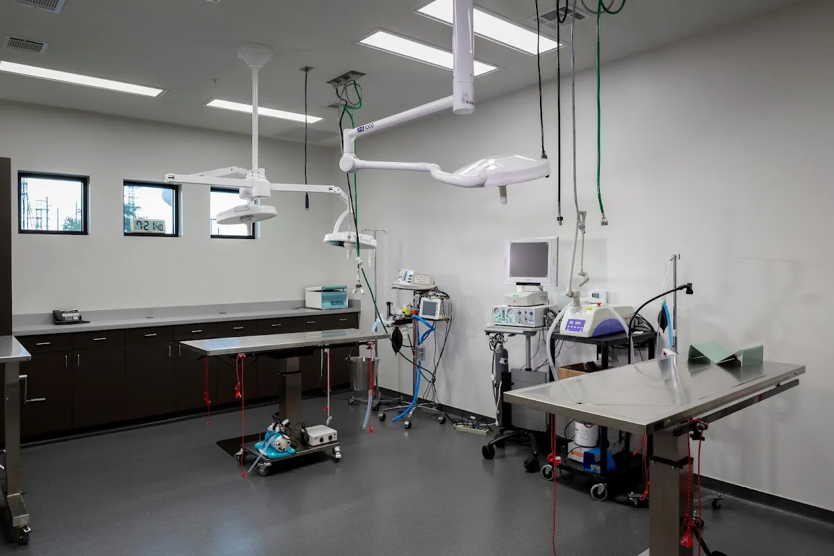 Sunset Animal Hospital