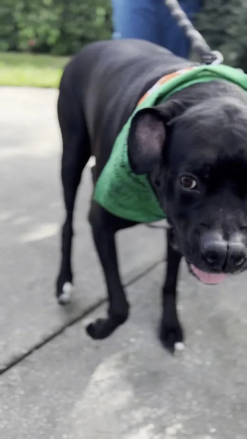 Tampa Bay Veterinary Specialists & Emergency Care Center