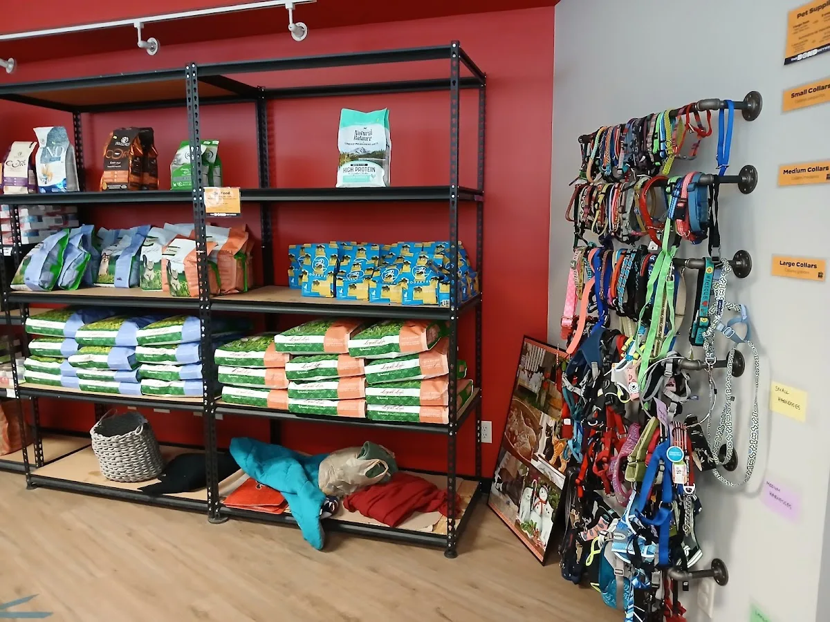 The Bond Between Pet Food Shelf