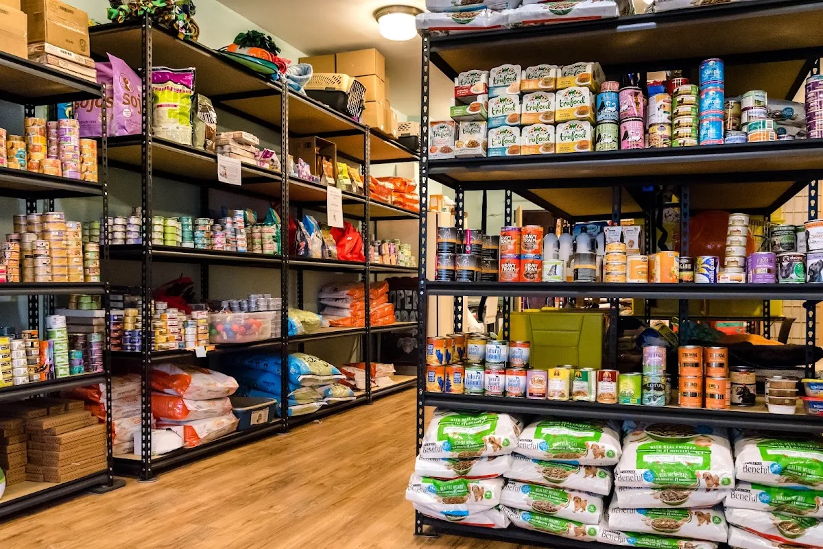 The Bond Between Pet Food Shelf