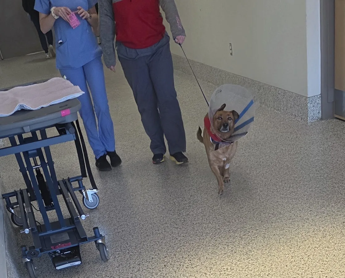 The Ohio State University Veterinary Medical Center