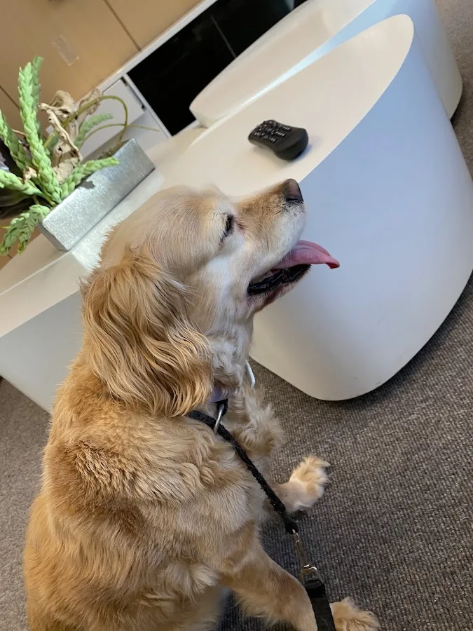 The Pet Emergency Room