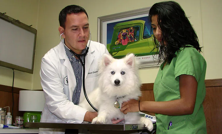 The Regional Veterinary Referral Center