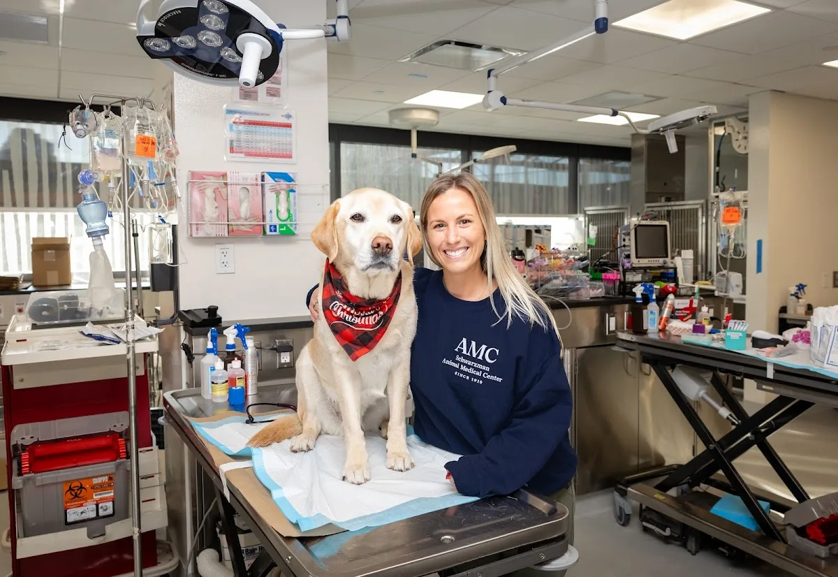 The Schwarzman Animal Medical Center primary photo