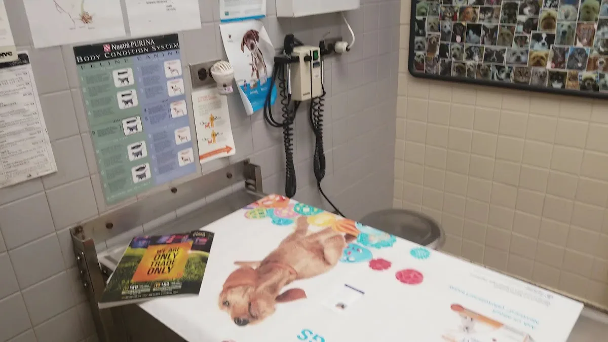 The Schwarzman Animal Medical Center