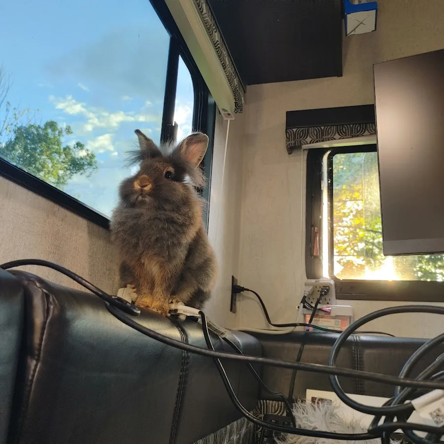 The University of Tennessee Veterinary Teaching Hospital