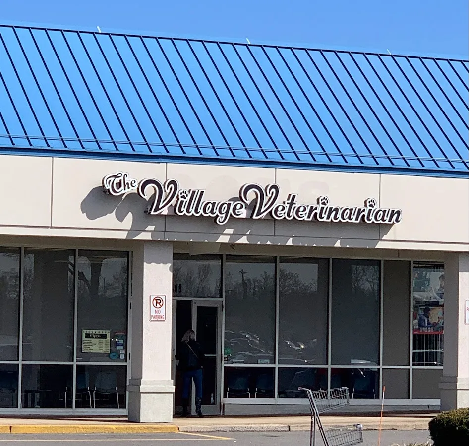 The Village Veterinarian