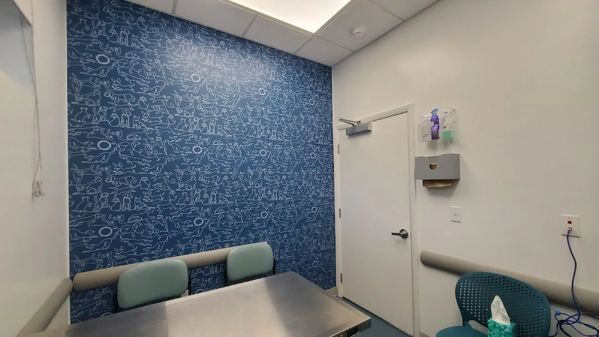 Thrive Pet Healthcare Specialists Miami