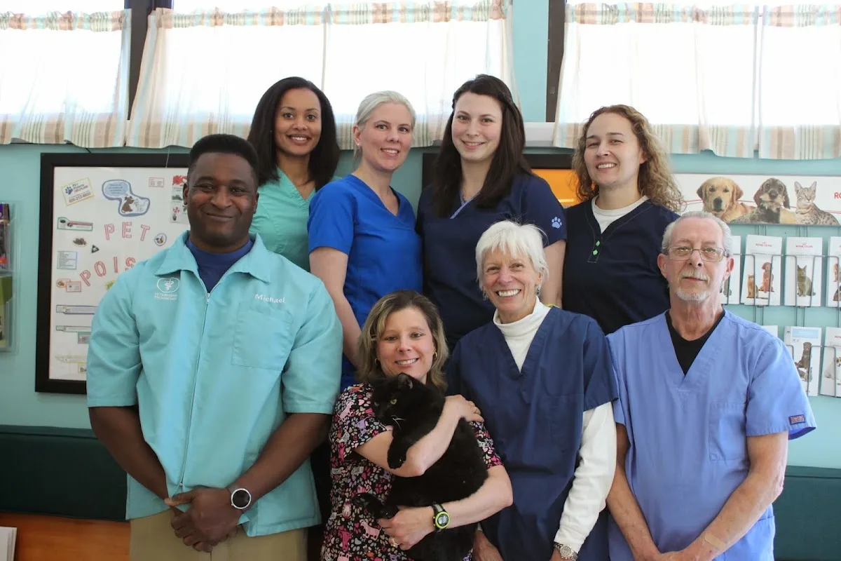 Thyro-Cat Feline Hyperthyroidism Treatment Center-Stamford, CT