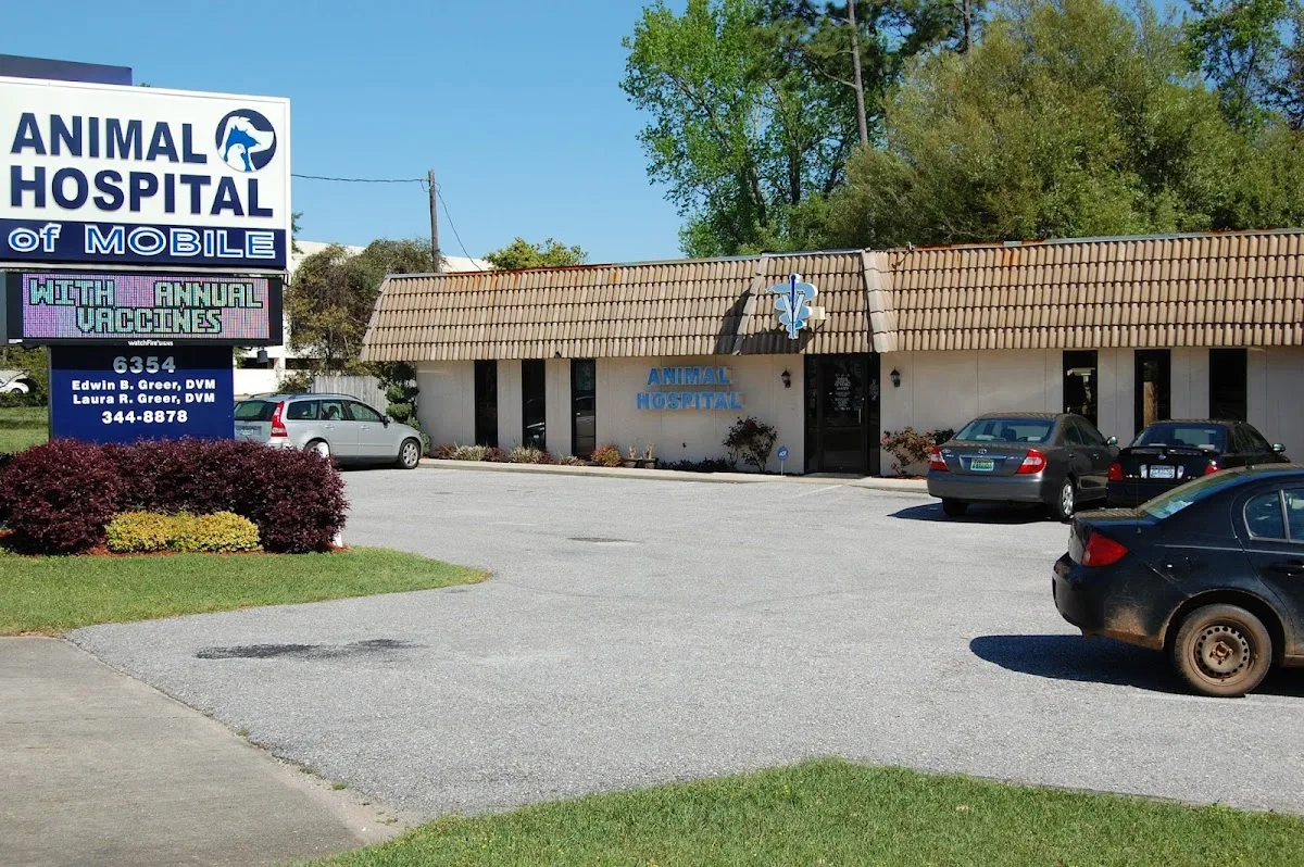 Town & Country Animal Hospital