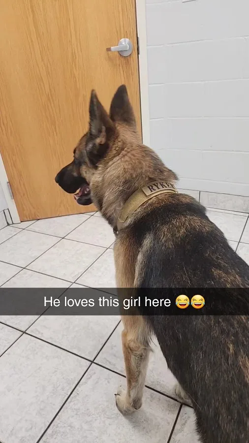 Tri County Animal Emergency Clinic