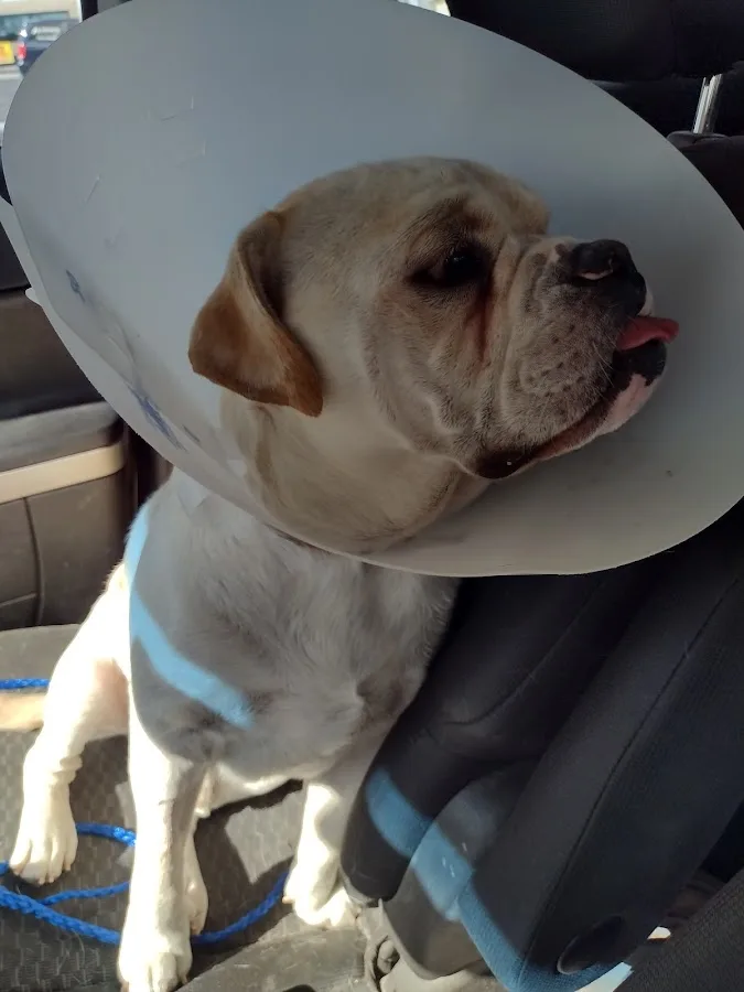 Tropicana Animal Hospital