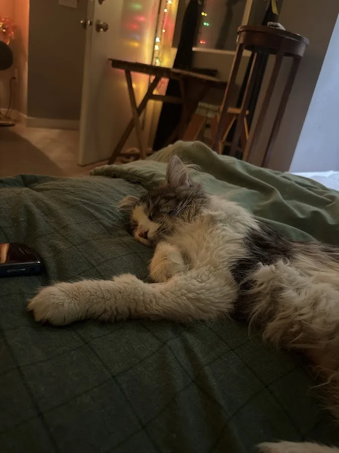 Tropicana Animal Hospital