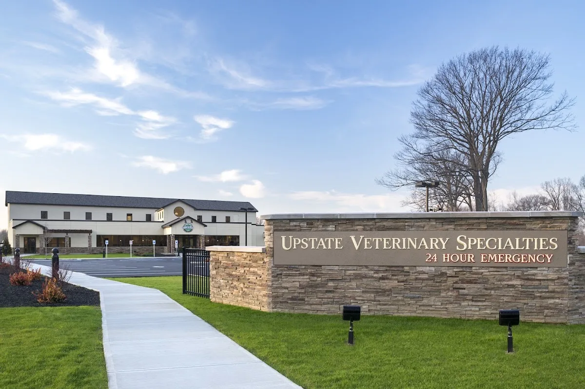 Upstate Veterinary Specialties primary photo