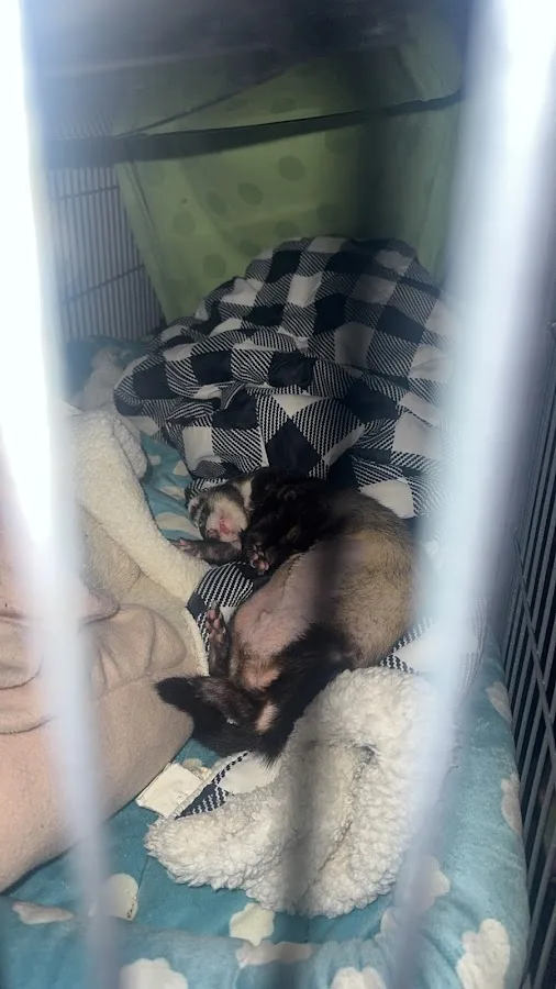 UW Veterinary Medical Center