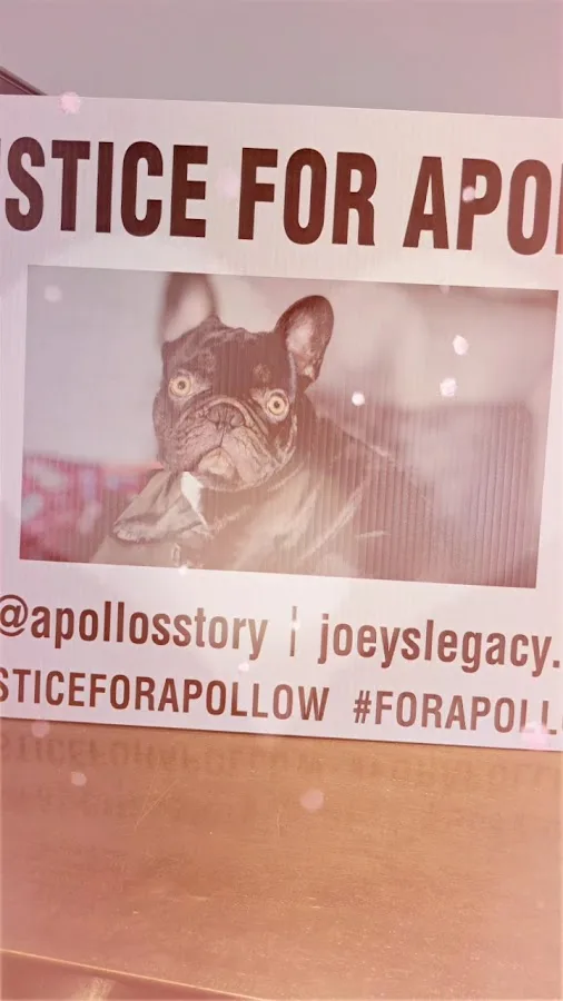 Valley Central Veterinary Referral and Emergency Center