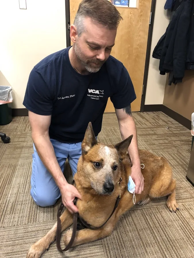 VCA Advanced Veterinary Care Center