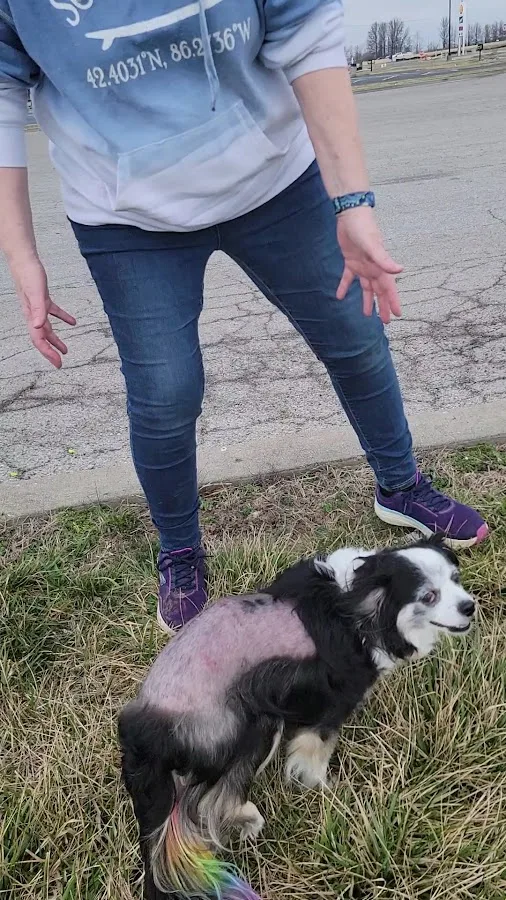 VCA Advanced Veterinary Care Center