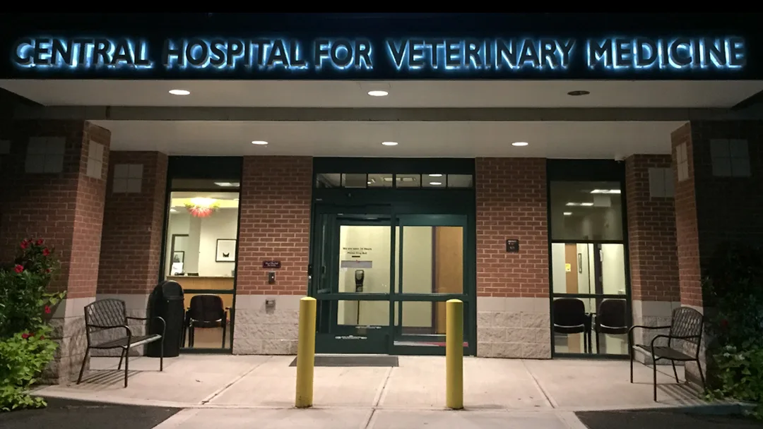 VCA ANIMAL HOSPITAL BY FOXON