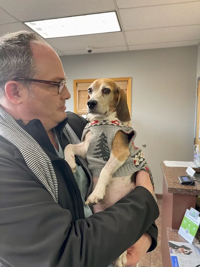 VCA Animal Hospitals