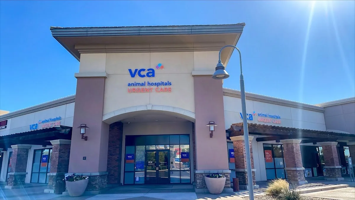 VCA Animal Hospitals Urgent Care - Chandler primary photo